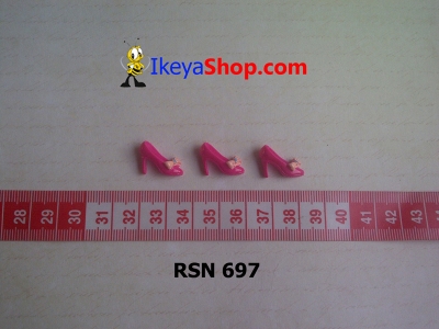 rsn 697  large2